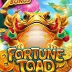 Fortune Toad game cover