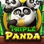 Triple Panda game cover